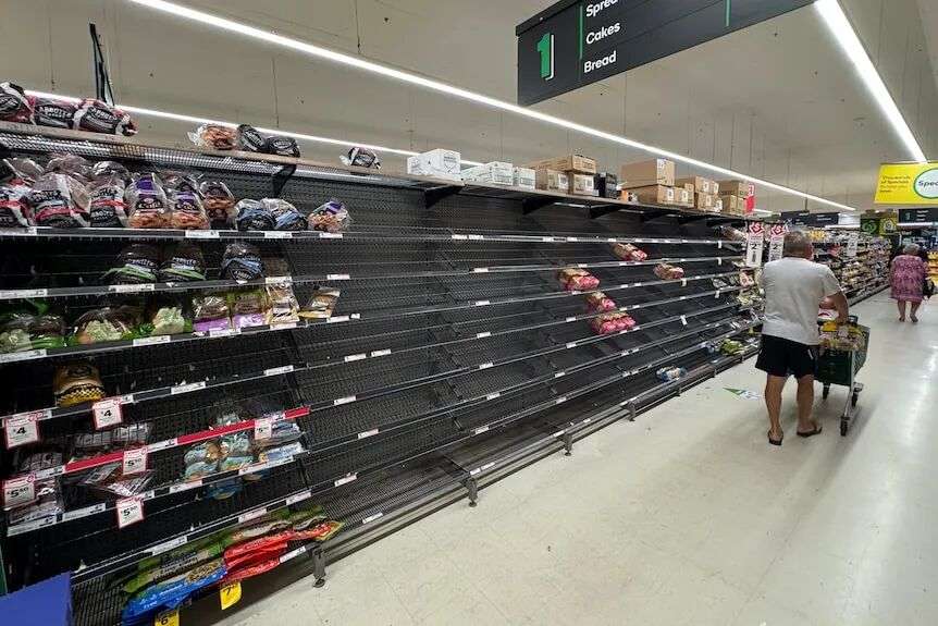 Empty supermarket shelves where bread would usually be available.
