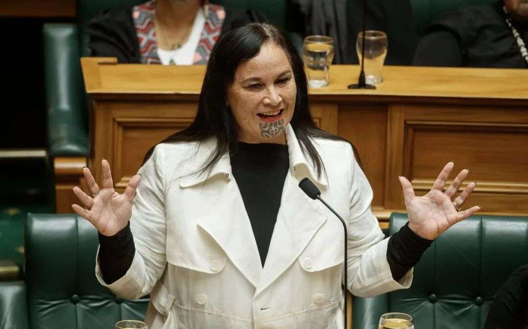 Te Pāti Māori co-leader Debbie Ngarewa-Packer has declared three properties with a combined value of $1.2m