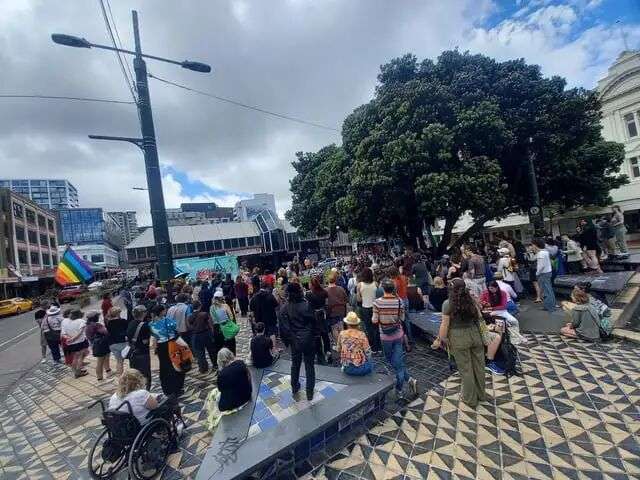 r/newzealand - Around 150 people rally in Wellington in opposition to the government's ban on puberty blockers for transgender youth (20 photos)