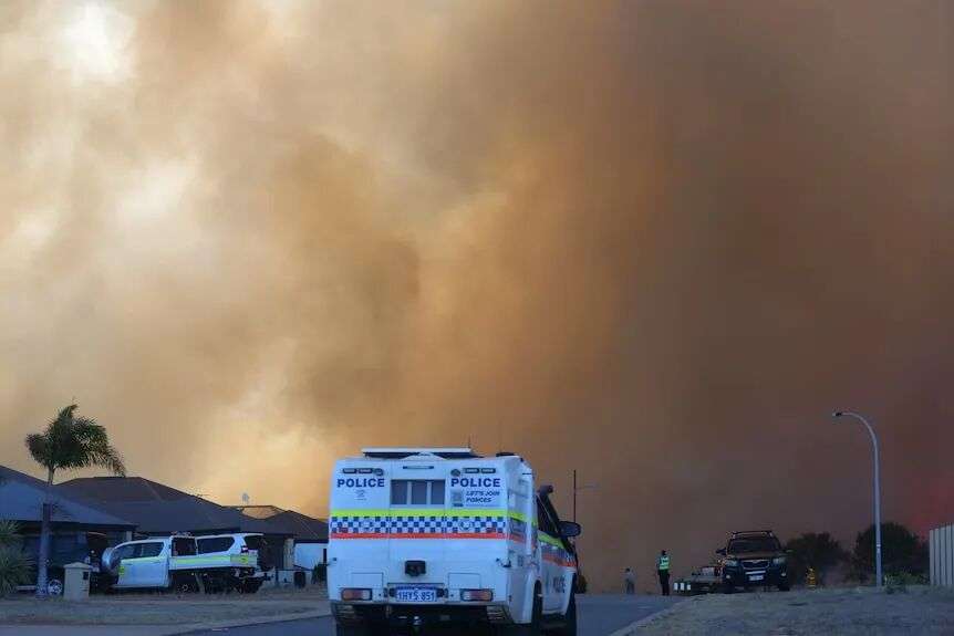 丛林大火产生的浓烟弥漫天空，画面前景底部停着一辆警车。