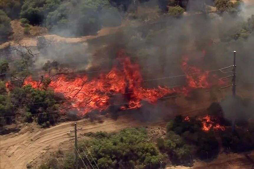 航拍照片显示，火焰和黑烟撕裂了灌木丛
