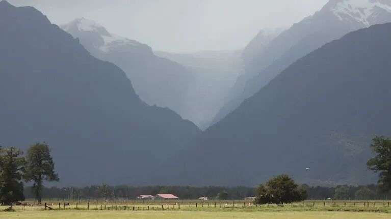 Farmers say pasture and forests are under threat from deer (file photo of Westland).