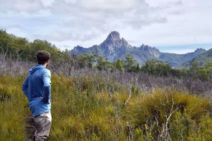 A young man stands with his back to the camera looking out over grassland, trees and a rocky mountain in the distance.