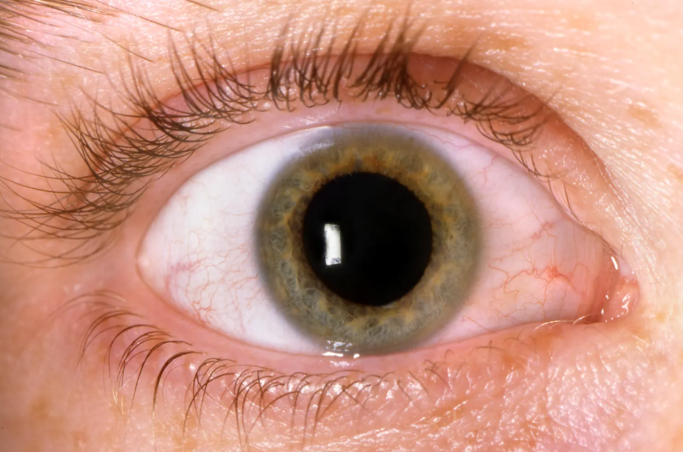 ScreenShot_2025-12-03_143728_990.png,0