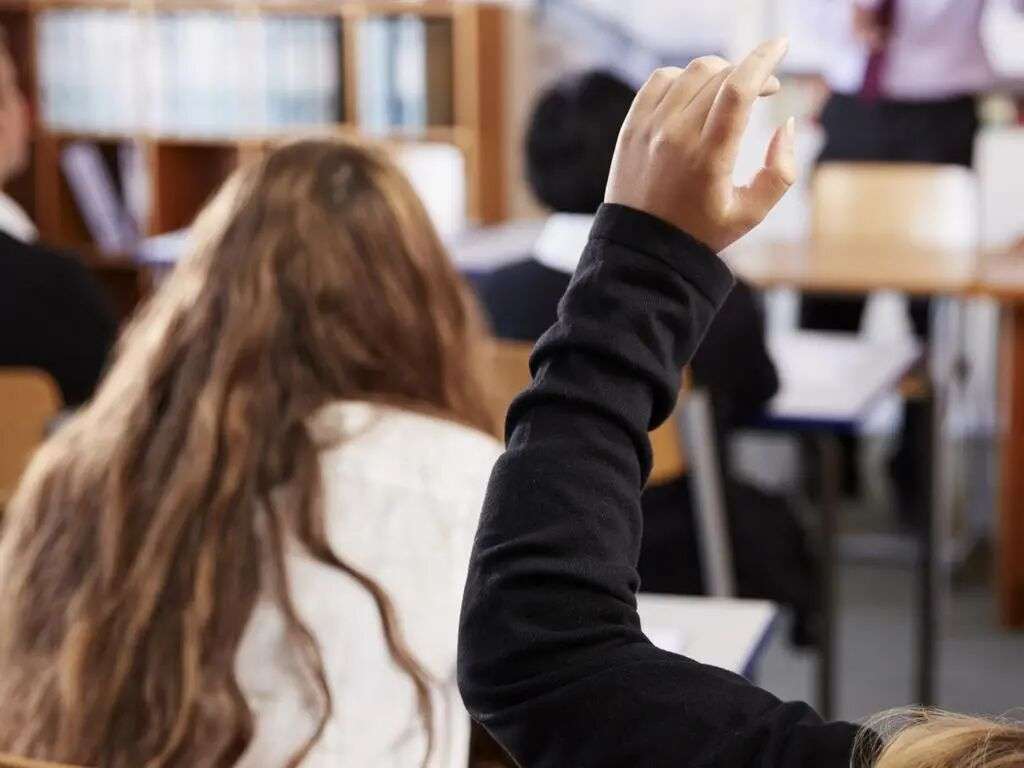 Up to 30,000 high-achieving pupils from prep to year 12 will benefit from the free learning programs which will be available to students from the beginning of term one next year.