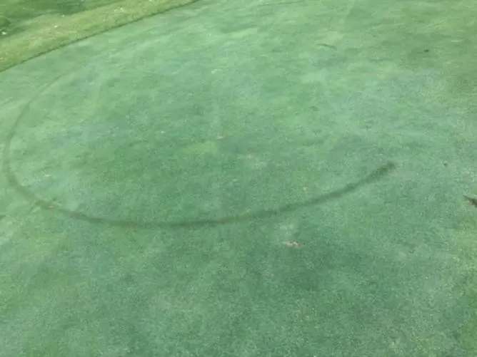 Damage to the greens.