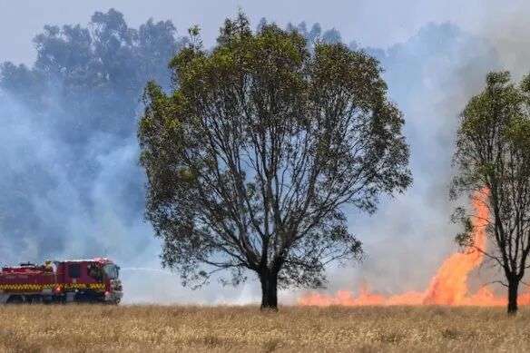 The grass fire burning north of Benalla.