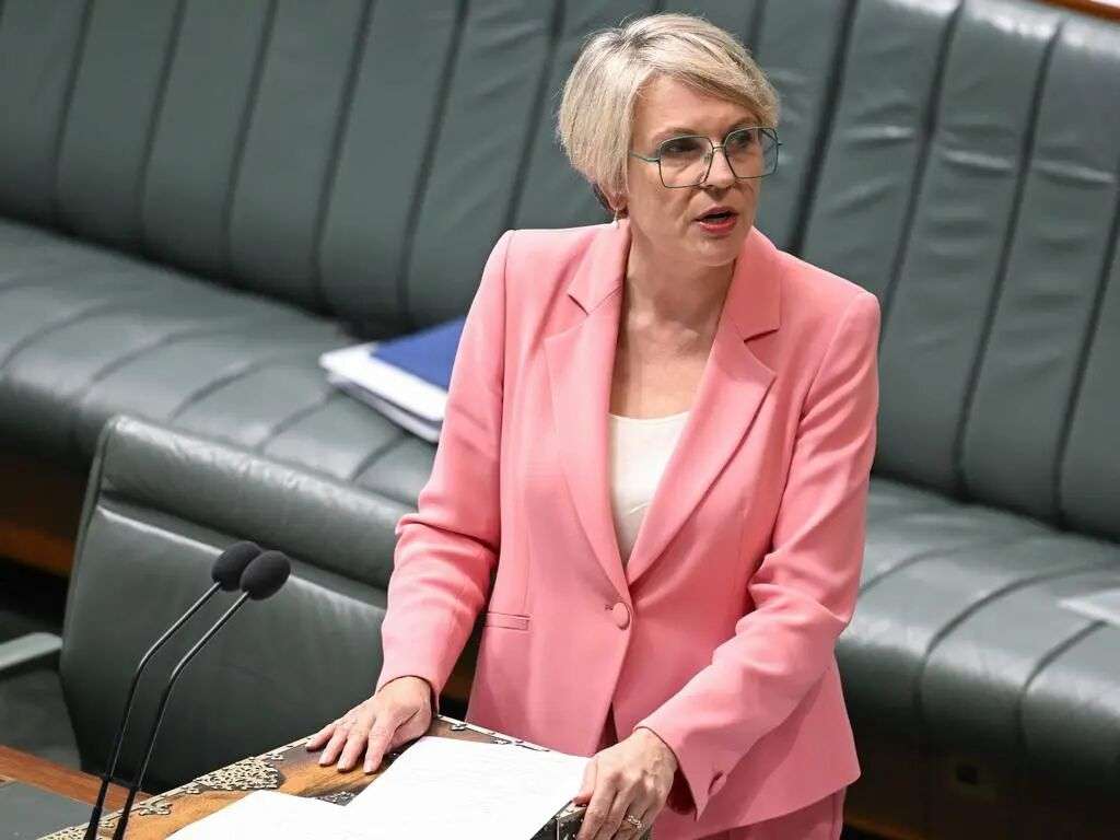 Minister for Social Services, Tanya Plibersek says she wants everyone to have access to the essentials this Christmas period. Picture: NewsWire / Martin Ollman
