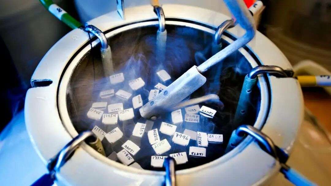 Sperm samples standing in a tank with dry ice smoke coming out of it