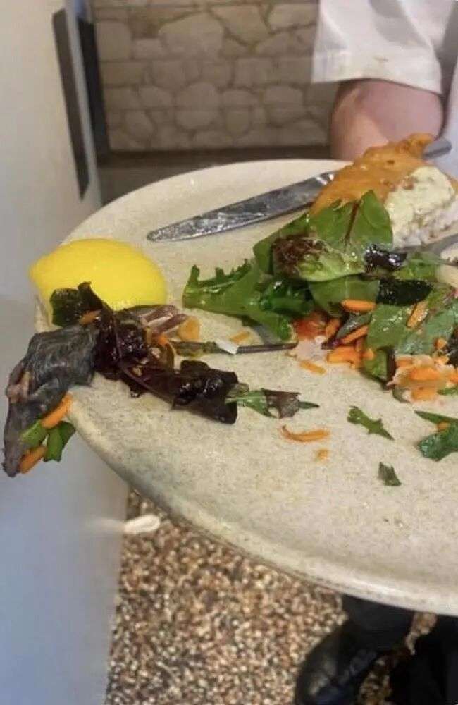 慎入！澳洲知名酒店餐盘中惊现死老鼠，社交媒体照片疯传（组图） - 2