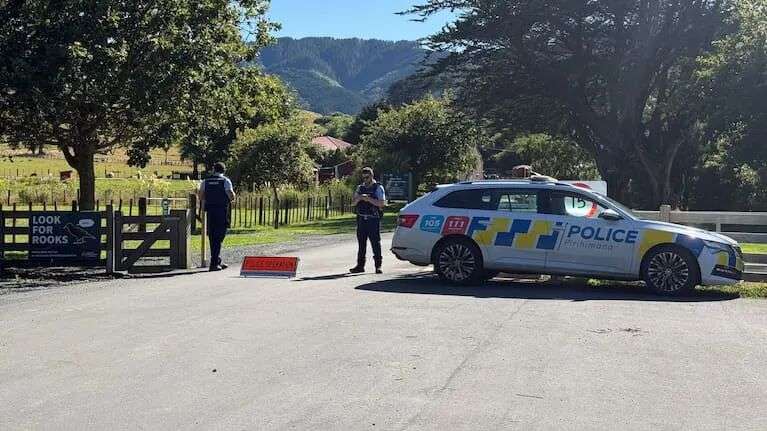 早上7点30分,警方接到自动事故警报通知。