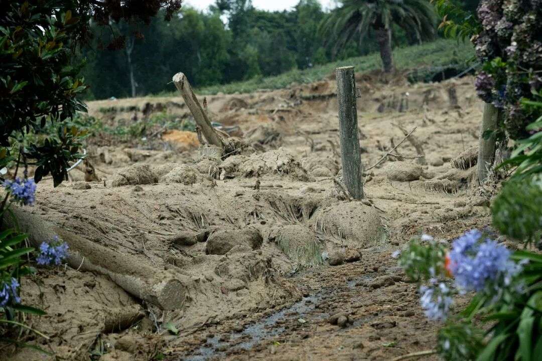 厚厚的淤泥覆盖了韦尔科姆湾路上的房屋。照片/迪恩·珀塞尔