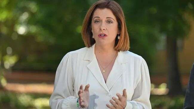 Minister for Communications Anika Wells says she is putting Roblox on notice.