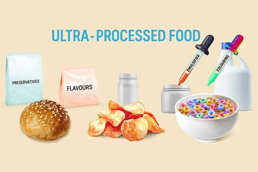 An illustration showing an example of foods that are ultra-processed including bread, cereal and chips.