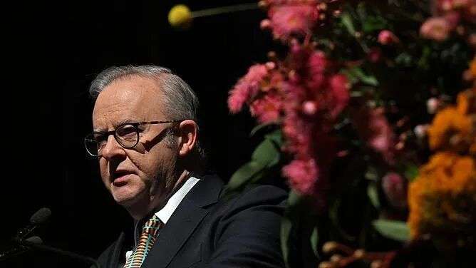 34名“ISIS新娘”回澳受阻,艾博年强硬表态:政府绝不协助,回国必受严惩(图) - 1