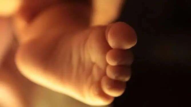 1771986475424120.jpg 2602251151699e4775f10d8.jpg