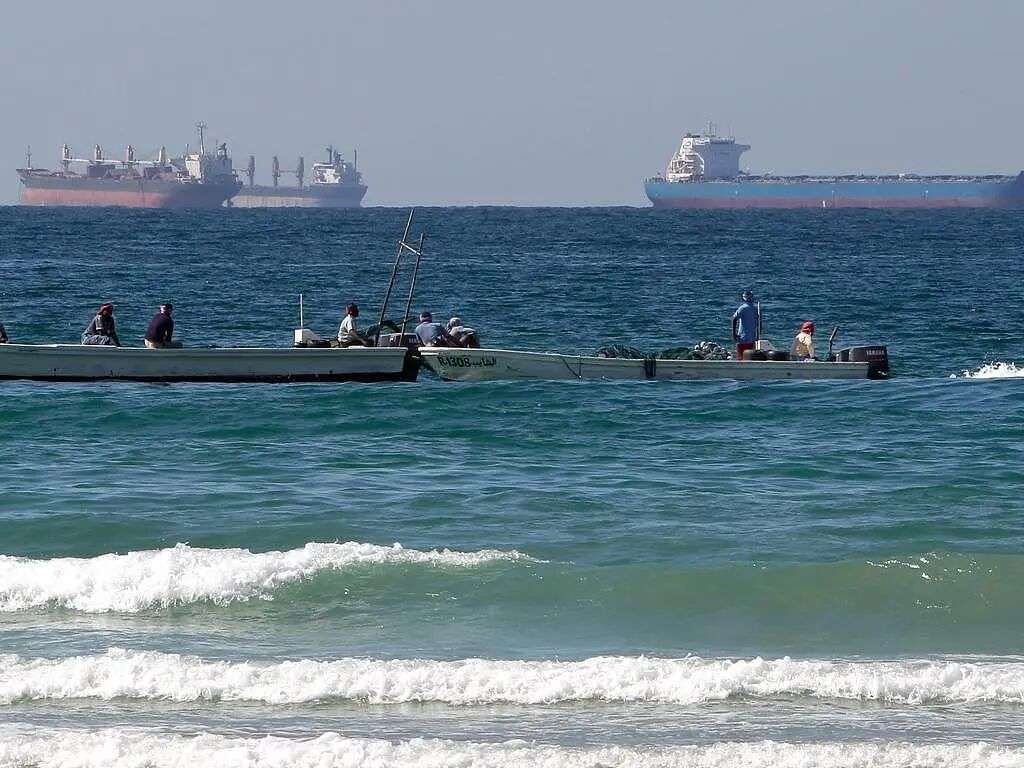 1升4澳元？中东战局致澳洲油价飙升，加油站被批“趁火打劫”（组图） - 4