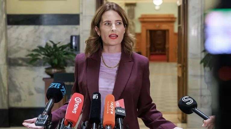 财政部长尼古拉·威利斯领导着一个新成立的部长级小组,负责监测局势。