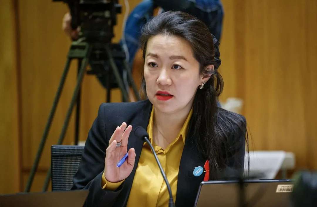 National list MP Nancy Lu was one of the candidates contesting the Papakura candidacy. Photo / Mark Mitchell