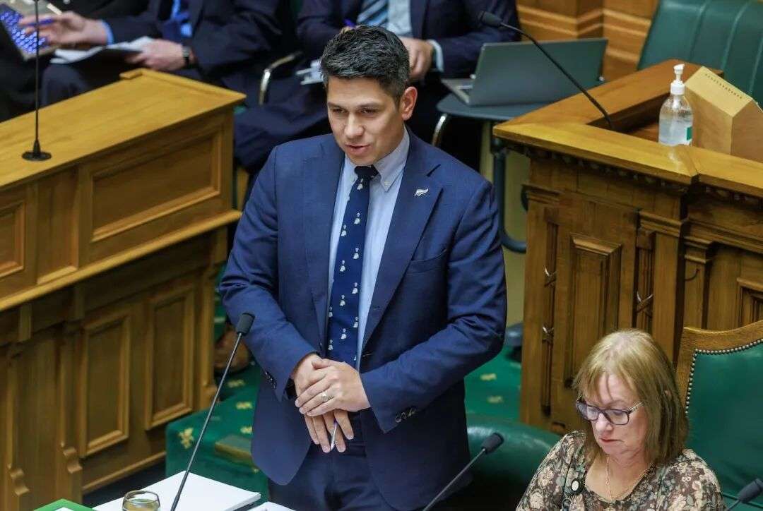 James Meager is currently a minister outside Cabinet, holding roles including Minister for Youth. Photo / Mark Mitchell