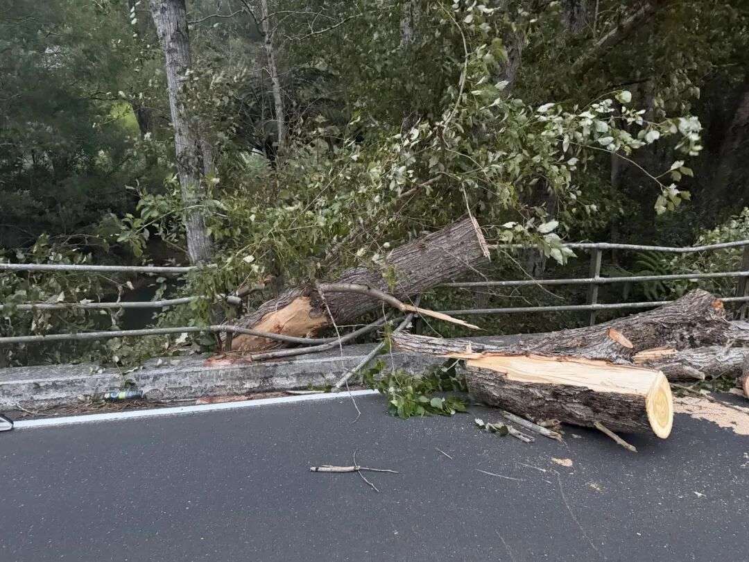 新西兰交通局- Facebook