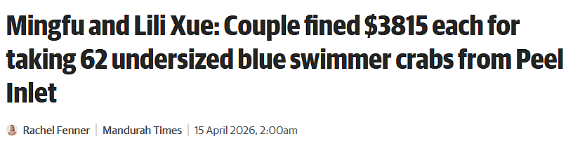 澳华人夫妻被罚$7824！抓63只螃蟹仅1只合规，一句话惹怒法官（图） - 1
