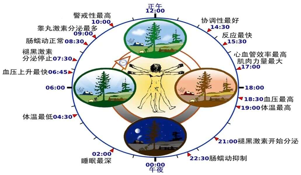 调节“生物钟”的分子——褪黑素（melatonin） | 化学空间Chem-Station