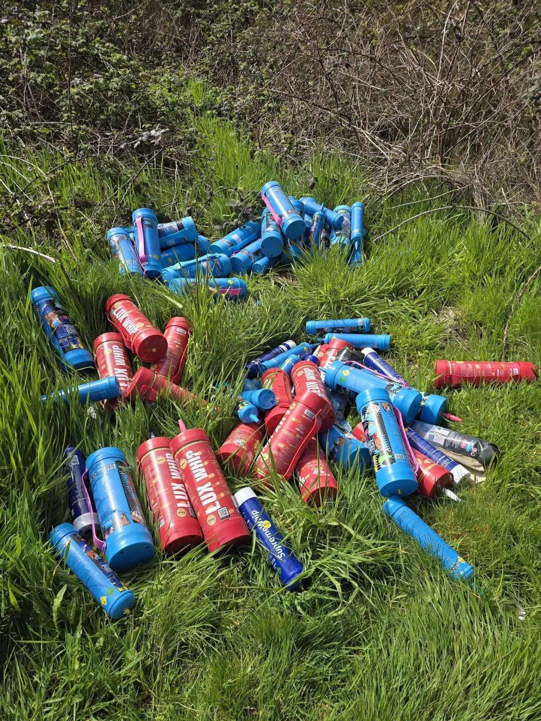 A Bay of Plenty woman was disgusted when she found about 50 nitrous oxide containers discarded near Rotorua.