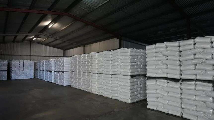 Pallets of white sacks filled with mungbeans for export in a dimly lit warehouse.