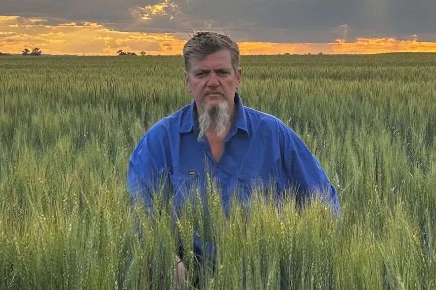 Darren Jensen, a bearded farmer, stands in a field of tall grass wearing a blue shirt
